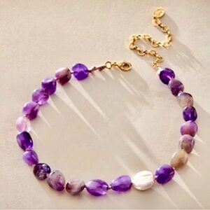 New Free People x Ariana Ost Purple Amethyst Chocker Necklace